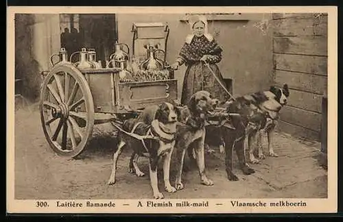AK Laitière flamande, flämische Milchfrau mit Hundegespann
