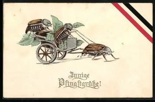 AK Maikäfer in Kutsche, von einem Maikäfer gezogen, Deutsche Nationalflagge, Pfingstgruss