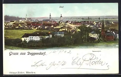 AK Deggendorf, Panorama