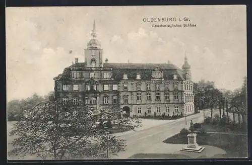 AK Oldenburg i. Gr., Grossherzogliches Schloss mit Strassenpartie