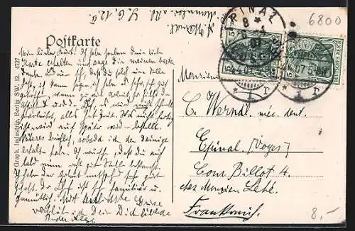 AK Mannheim, Gartenanlagen auf dem Friedrichsplatz