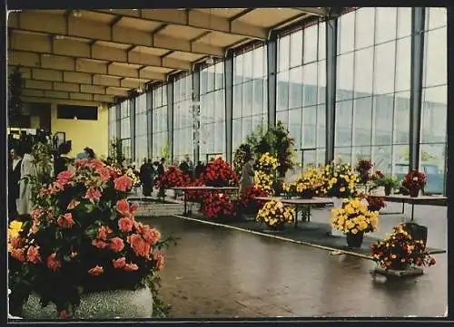 AK Stuttgart, Bundesgartenschau, Innenansicht Halle mit Fensterwand