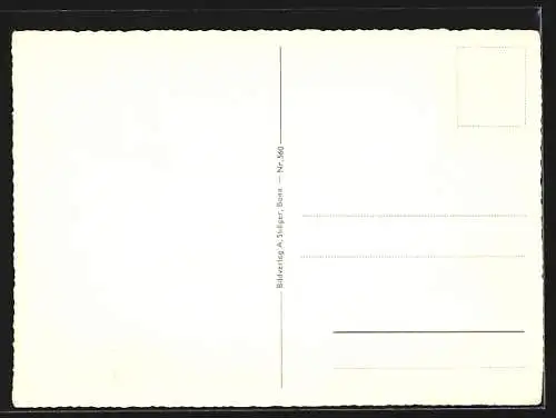 AK Bonn, Bundeshaus, Strassen-, Innen- u. Rheinansicht