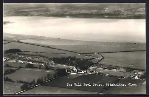 AK Slimbridge, The Wild Fowl Trust