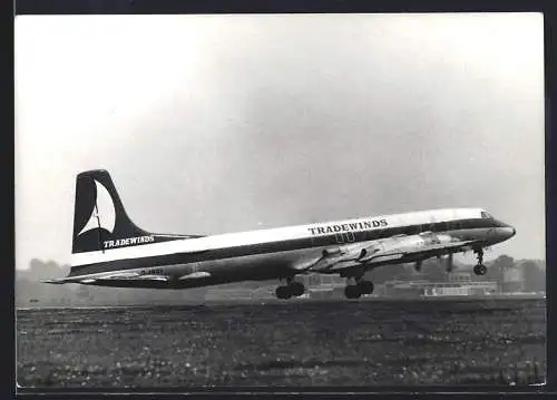 Fotografie Flugzeug Canadair CL-44 G-AWOV der Tradewinds bei der Landung
