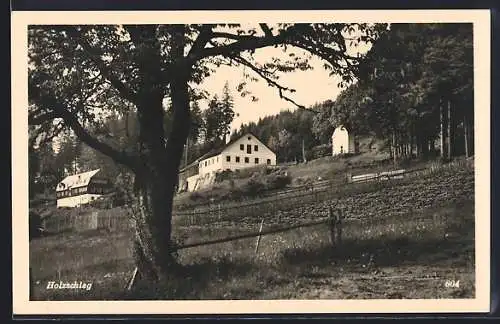 AK Schwarzenberg am Böhmerwald, Holzschlag, Ortspartie mit Häusern und Feld