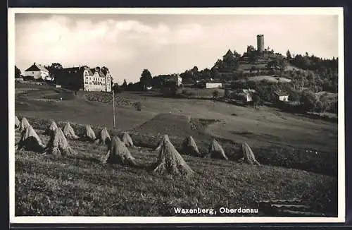 AK Oberneukirchen, Ortsansicht mit Ruine Waxenberg