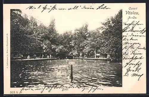 AK Vöslau /N. Ö., Bad, Ansicht vom Wasser
