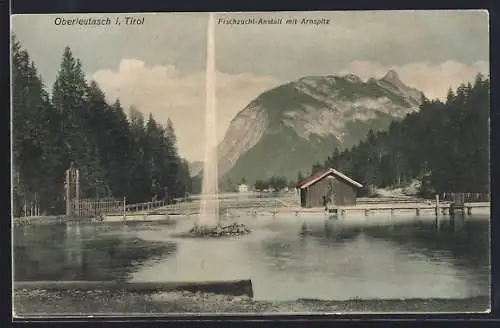 AK Oberleutasch in Tirol, Fischzucht-Anstalt mit Arnspitz