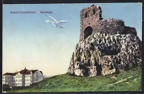 AK Maria Enzersdorf, Rauchkogel, Gebäude und Burgruine, Brieftaube