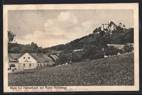 AK Hafnerbach /N.-Oe., Stein, Gasthaus von Johann Schaderbock mit Ruine Hohenegg