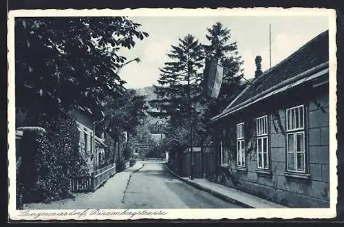 AK Langenzersdorf, Bisambergstrasse