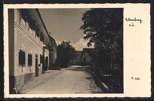 AK Esternberg /O. Ö., Strassenpartie mit Bäumen