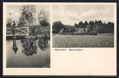 AK Weilheim / Oberbayern, Pension Brunnenhäusl, Uferpartie