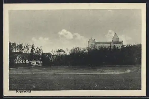 AK Kronwinkl, Ortspartie mit weiträumiger Wiese