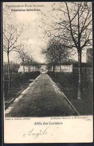 AK St. Nicolas /Waes, Présentation Notre-Dame, Pensionnat et École Normale, Allée des Cerisiers