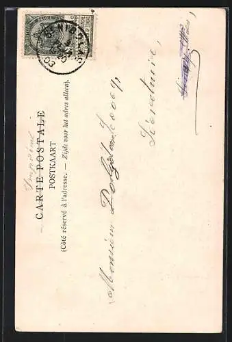 AK St. Nicolas /Waes, Présentation Notre-Dame, Pensionnat et École Normale, Allée des Cerisiers