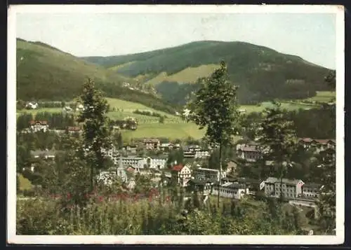 AK Johannisbad-Janske Lazne, Teilansicht mit Umgebung von einer Anhöhe aus im Sudetengau
