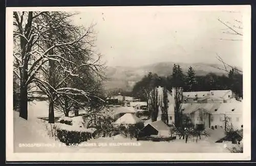 AK Grosspertholz im Waldviertel, Ortspartie im Schnee