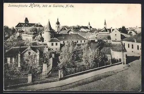AK Horn, Blick auf die Sommerfrische