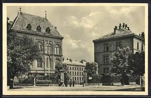 AK Korneuburg, Blick auf grosse Gebäuden
