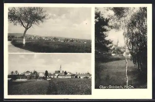 AK Ober-Grünbach /N.-Oe., Landpartien der Felder und Weiden, Blick auf den Kirchturm