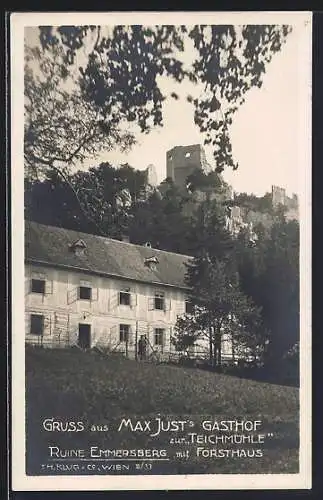 AK Winzendorf-Muthmannsdorf, Gasthof Max Just zur Teichmühle mit Forsthaus, Ruine Emmerberg und