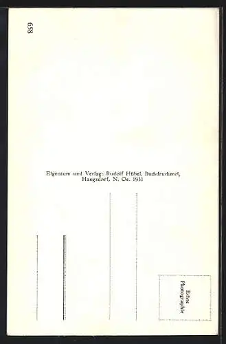 AK Haugsdorf /N.Ö., Altes Schloss und Postgebäude