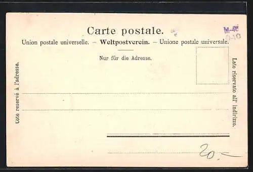 AK Genève, Bateau Genève