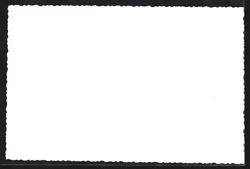 AK Port Said, Harbour, Hafen