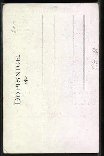 AK Louisa Silena, chot risskeho poslance, dodavatelka obstrukcnich nastroju