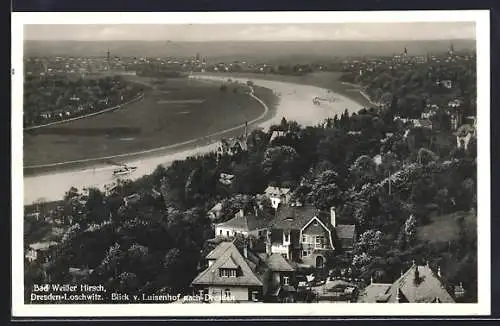 AK Dresden-Loschwitz, Blick vom Luisenhof nach Dresden