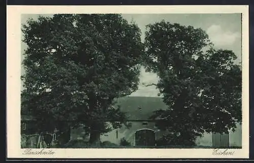 AK Panschwitz, Eichen mit der Scheune