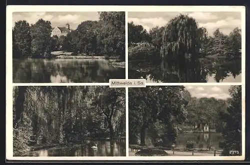 AK Mittweida i. Sa., Partien am Wasser