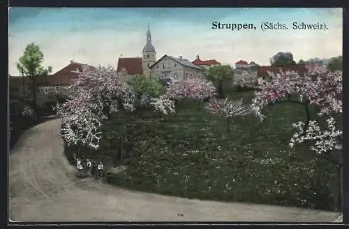 AK Struppen / Sächs. Schweiz, Ortsansicht mit Kirche