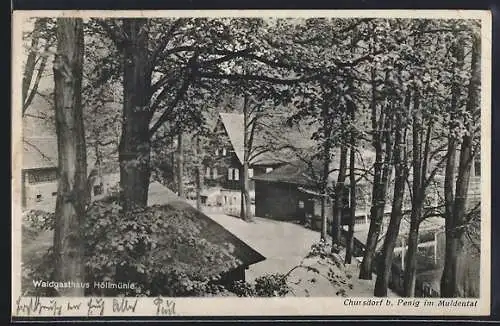 AK Penig i. Sa., Waldgasthaus Höllmühle