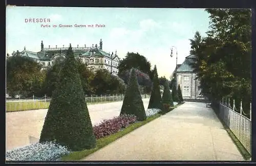 AK Dresden, Grosser Garten mit Teilansicht vom Palais