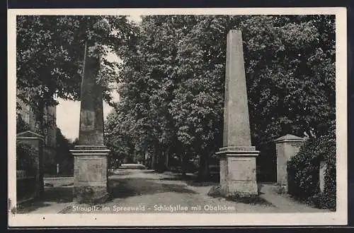 AK Straupitz / Spreewald, Schlossallee mit Obelisken