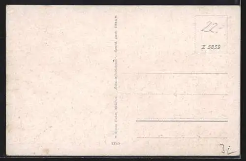 AK Schliersee, Teilansicht mit Bergen