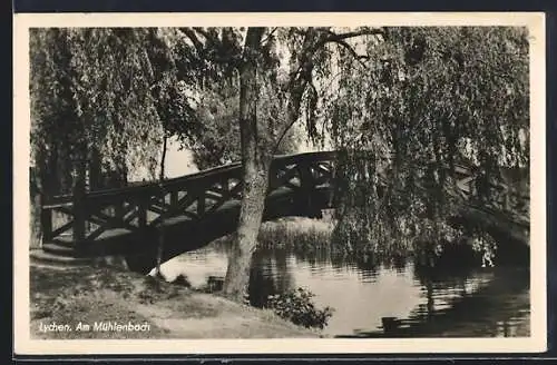 AK Lychen, Brücke und Weide am Mühlenbach