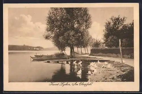 AK Lychen, Strasse am Oberpfuhl