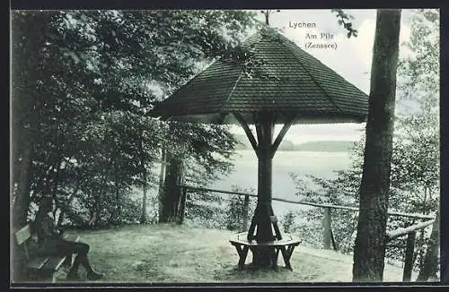 AK Lychen, Pilz am Zenssee