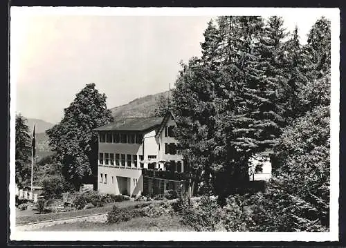 AK Schwyz, Hotel Sonnenberg, Bes. J. Schmid, Zufahrt zwischen Bäumen