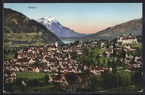 AK Schwyz, Ortsansicht mit Bergpanorama