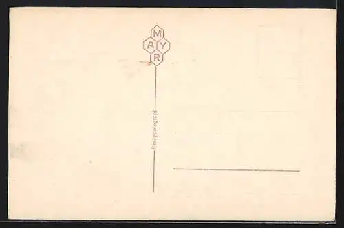 AK Lugano, Panorama col Mte. S. Salvatore