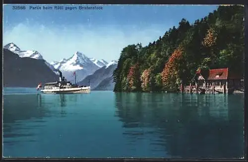 AK Rütli, Seeblick gegen den Bristenstock mit Dampfer