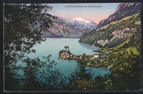 AK Iseltwald am Brienzersee, Totalansicht aus der Vogelschau