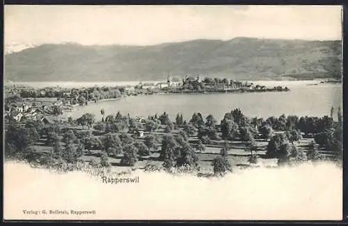 AK Rapperswil, Ortsansicht mit See- und Bergpanorama