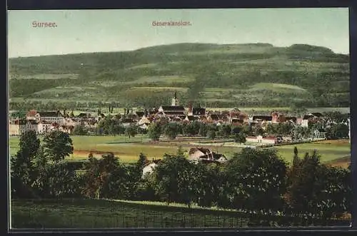 AK Sursee, Generalansicht mit Hügelpanorama