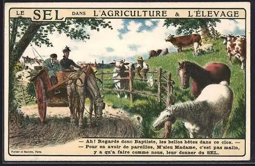 AK Le Sel dans L'Agriculture & L'Elevage